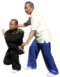 Practsing Xing yi Snake Form 