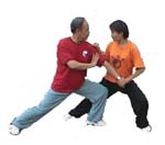 Two Man push Hand with Professor Li